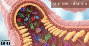 Understanding the Gut Microbiome: A Beginner’s Guide
