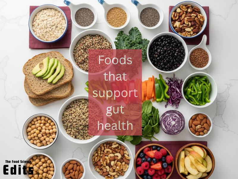 Gut Brain Axis