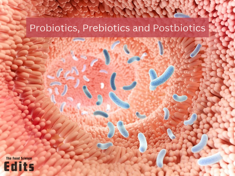 Probiotics vs. Prebiotics vs. Postbiotics
