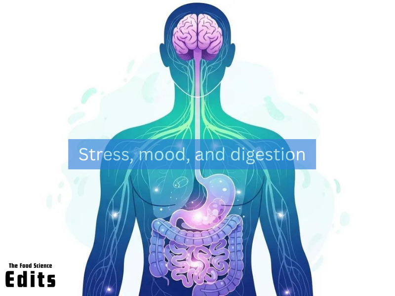 Gut Brain Axis