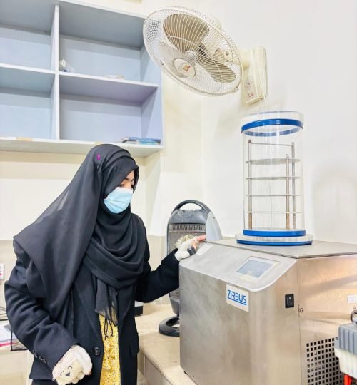 Laboratory Work